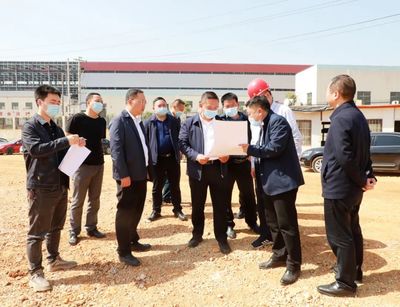 黃進到大龍開發區調研督導項目建設及生態環保、安全生產工作